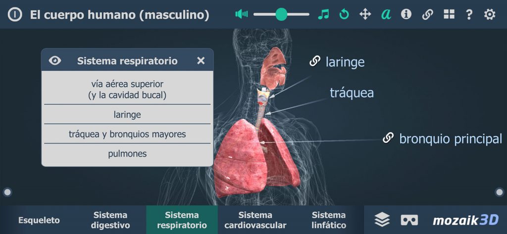 educación y realidad virtual screenshot mozaik 3d sistema respiratorio